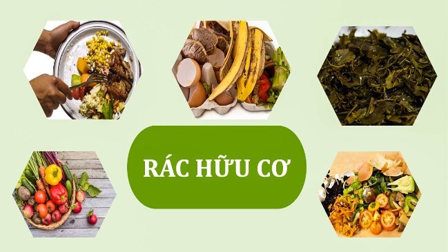 cac loai rac huu co